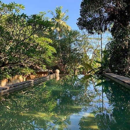 Sri Yoga Shala Bed & Breakfast Unawatuna Bagian luar foto