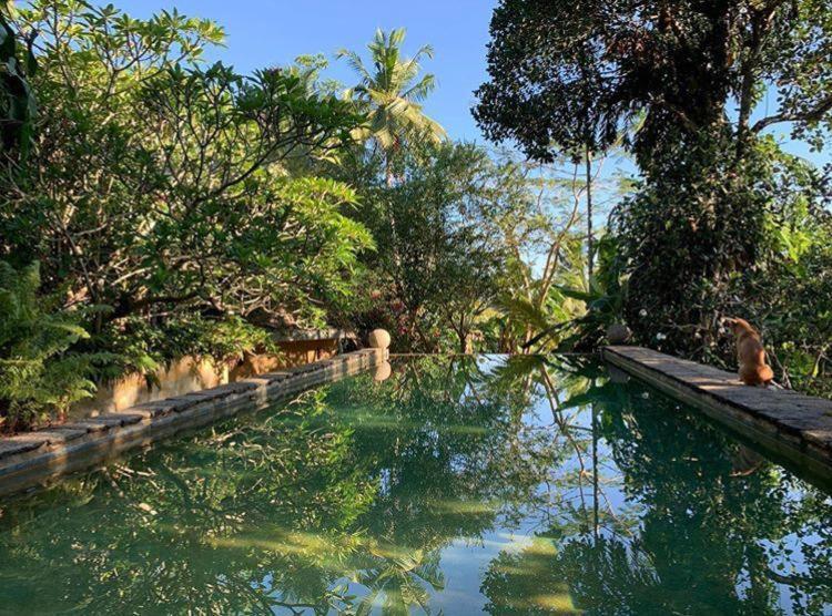 Sri Yoga Shala Bed & Breakfast Unawatuna Bagian luar foto
